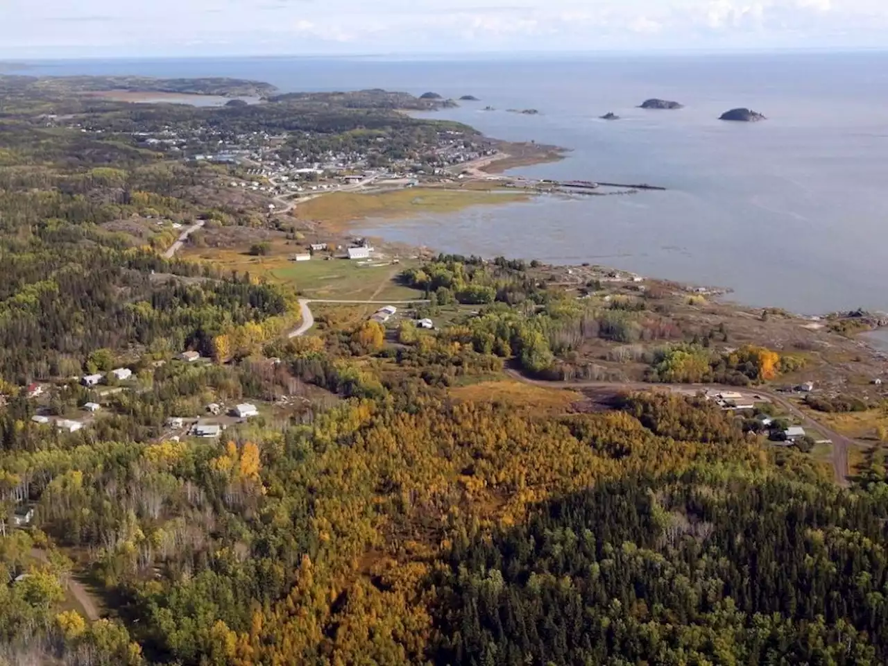 Parks Canada monitoring anthrax outbreak in Wood Buffalo National Park