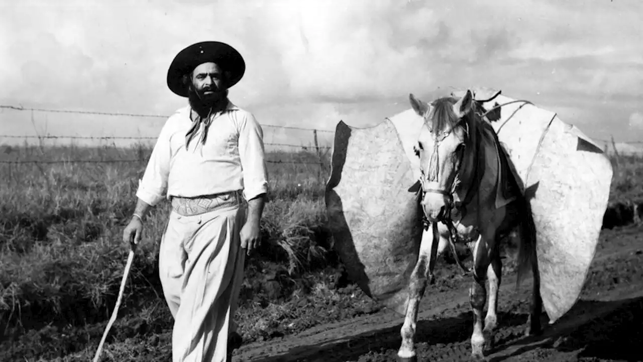 El documental sobre Jorge Cafrune puede verse esta semana en el cine Gaumont | Dirigido por Julián Giulianeli