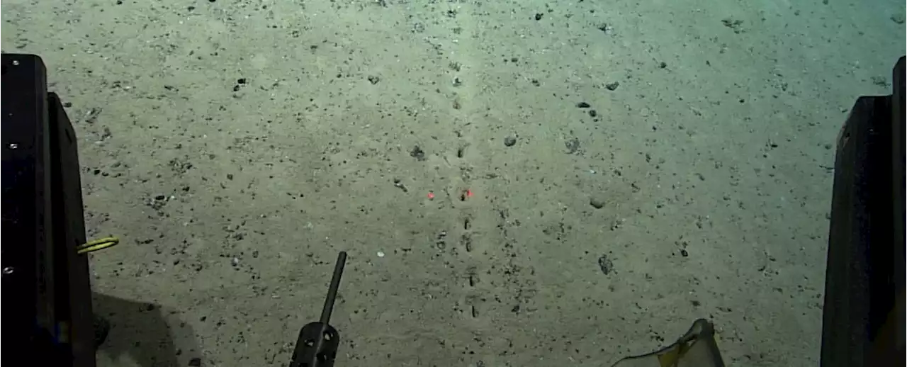 Scientists Are Perplexed by Mysterious Holes They Keep Finding on The Ocean Floor