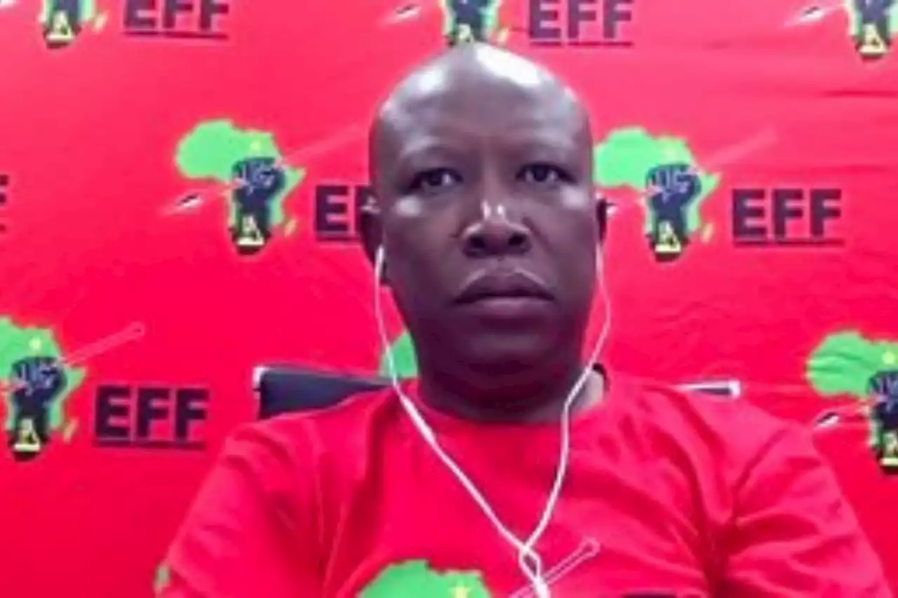 WATCH: Malema's owns BBC journalis 'fortune teller' response to BBC journalist | The Citizen