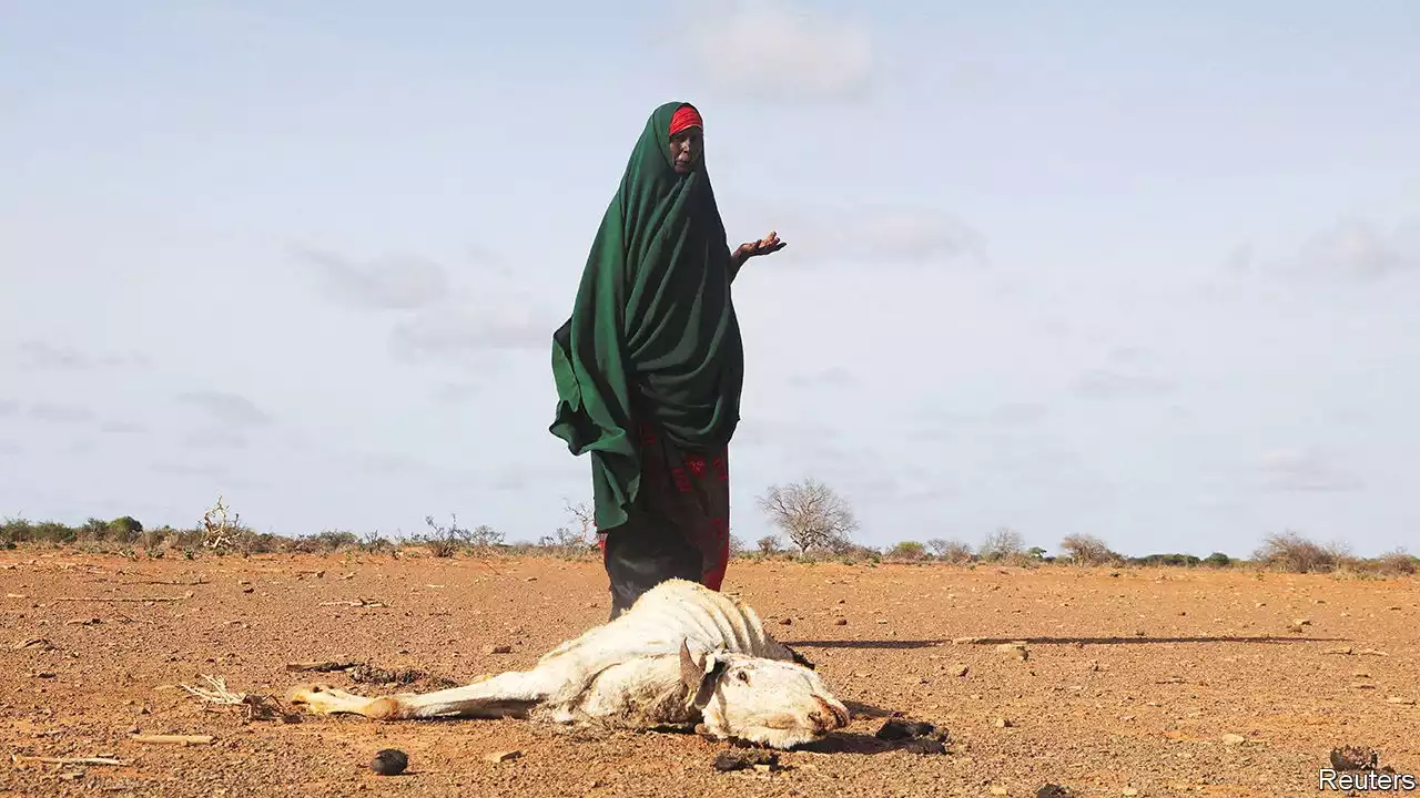 Somalia needs urgent help to avert a catastrophic famine