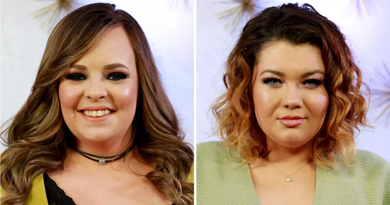 Teen Mom's Catelynn Lowell Defends Amber After 'Undeserved' Custody Loss