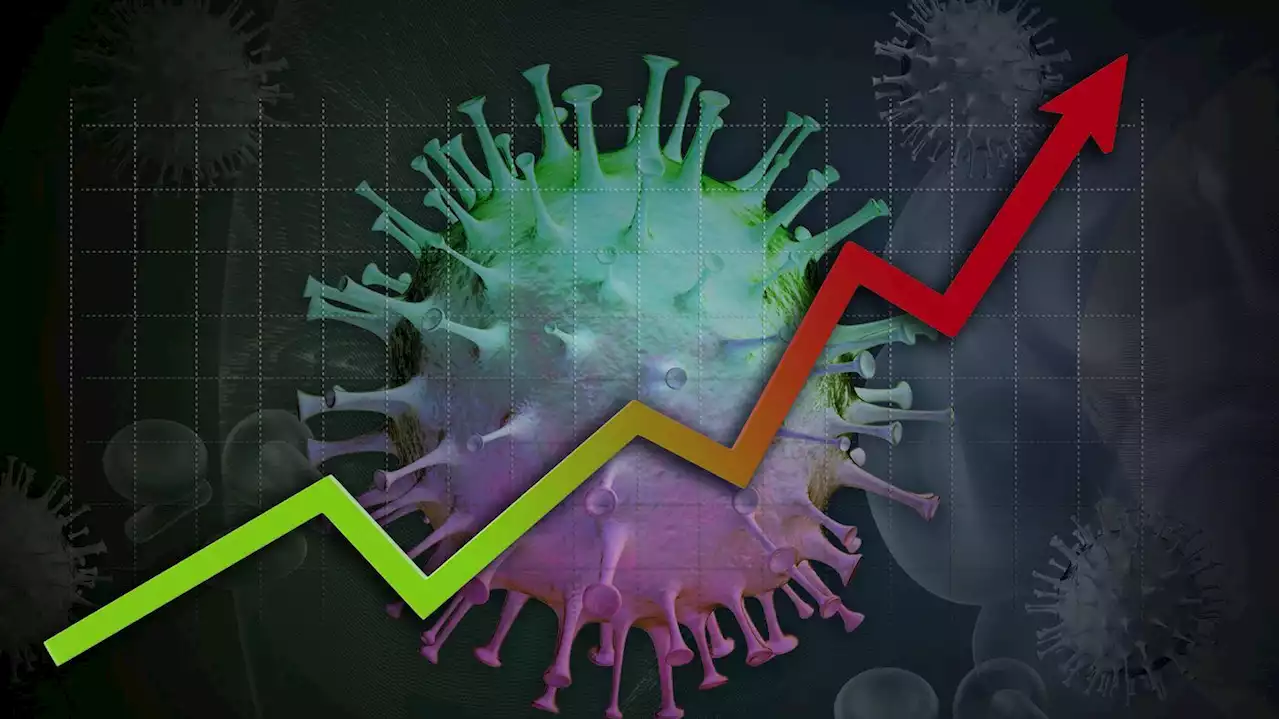 COVID-19 Daily update July 29, 2022: Why are deaths rising in some provinces?