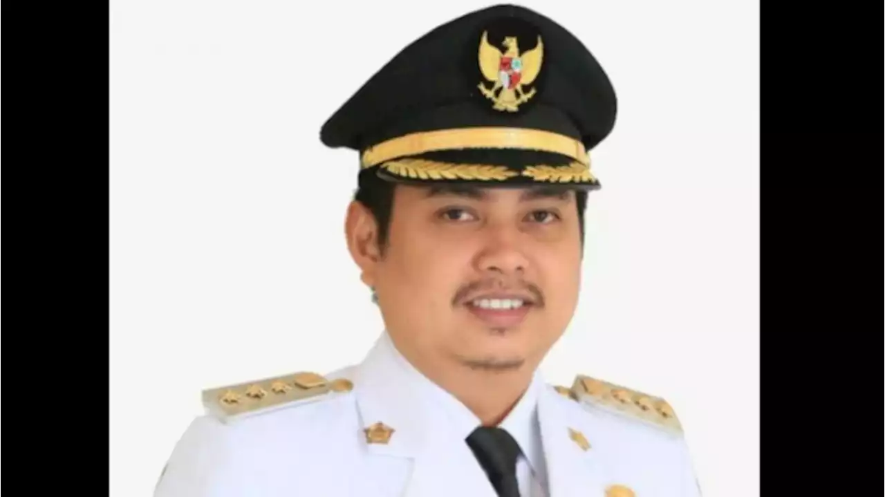 Pernah Dinobatkan Jadi Bupati Termuda, Ini Profil Mardani Maming