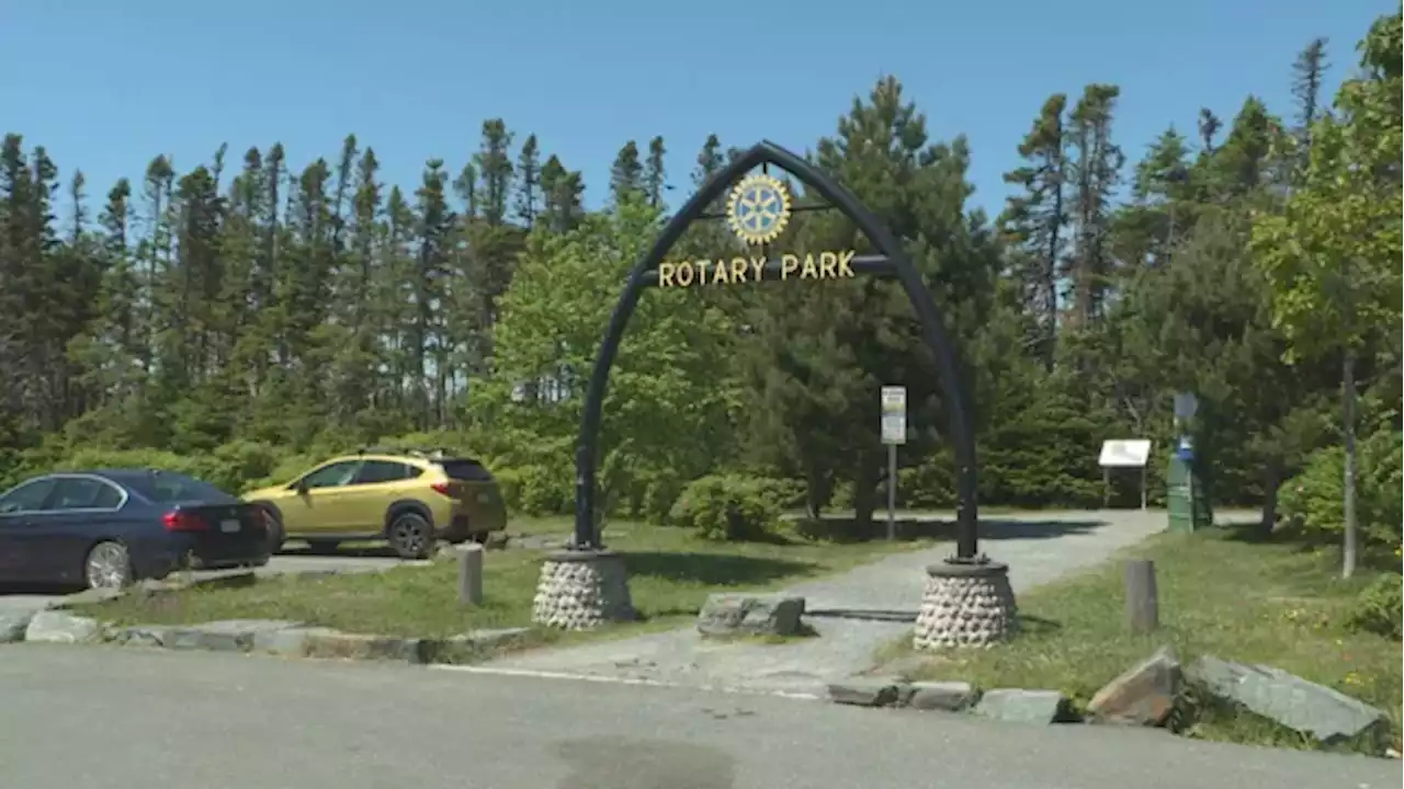 Body of teenager recovered from popular swimming area | CBC News