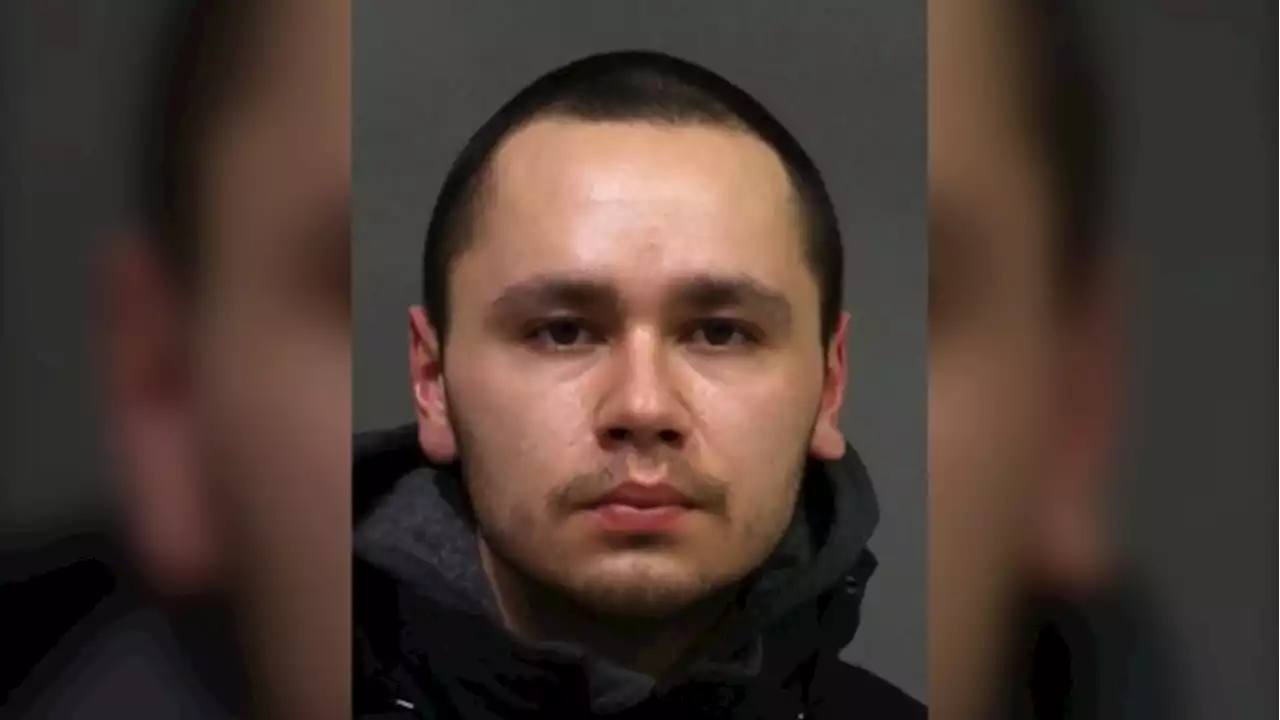 Police looking for man who allegedly sexually assaulted woman he met at concert near Woodbine Park