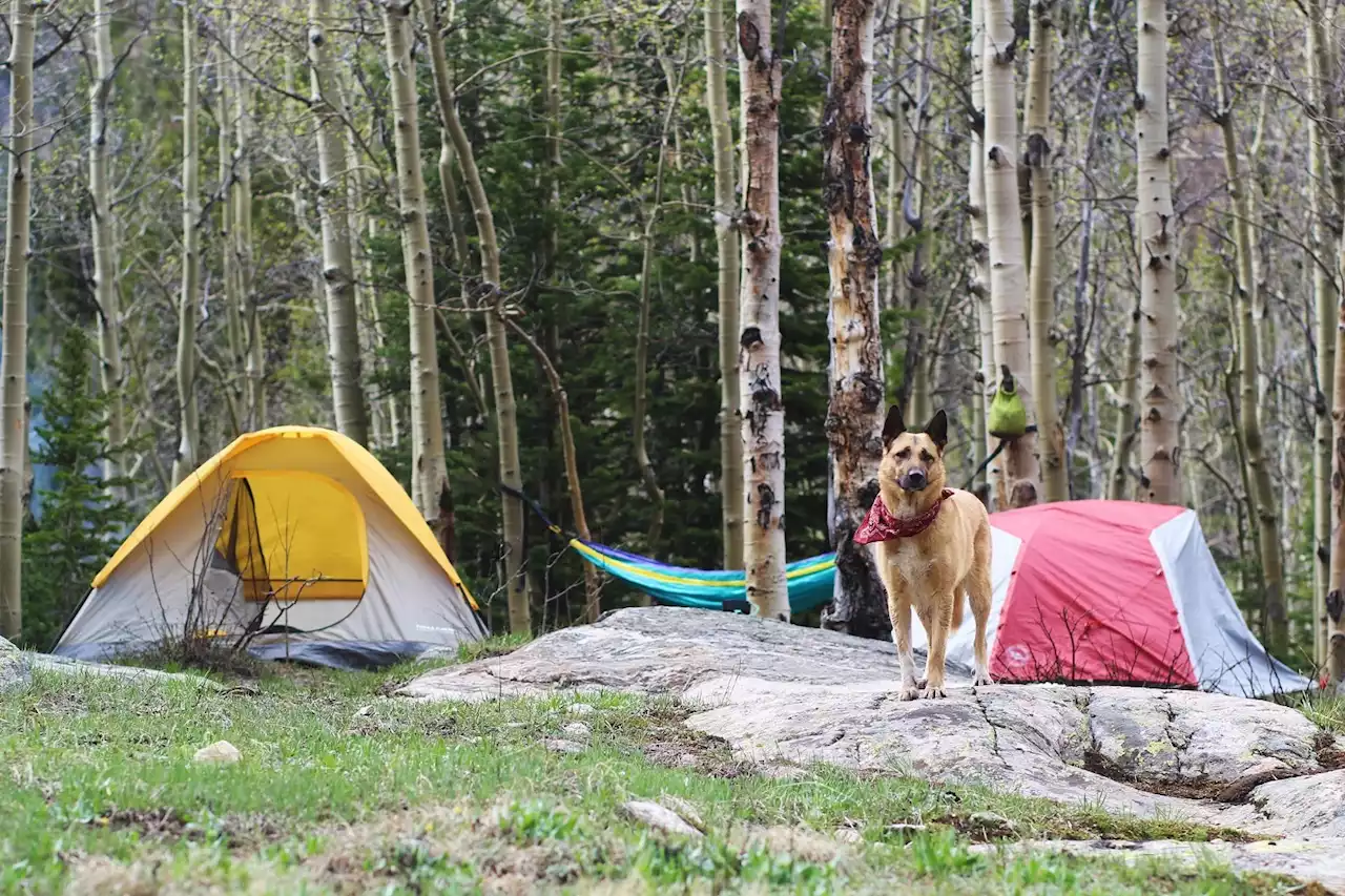 Get Outside: Ten Great Campsites Under an Hour From Denver