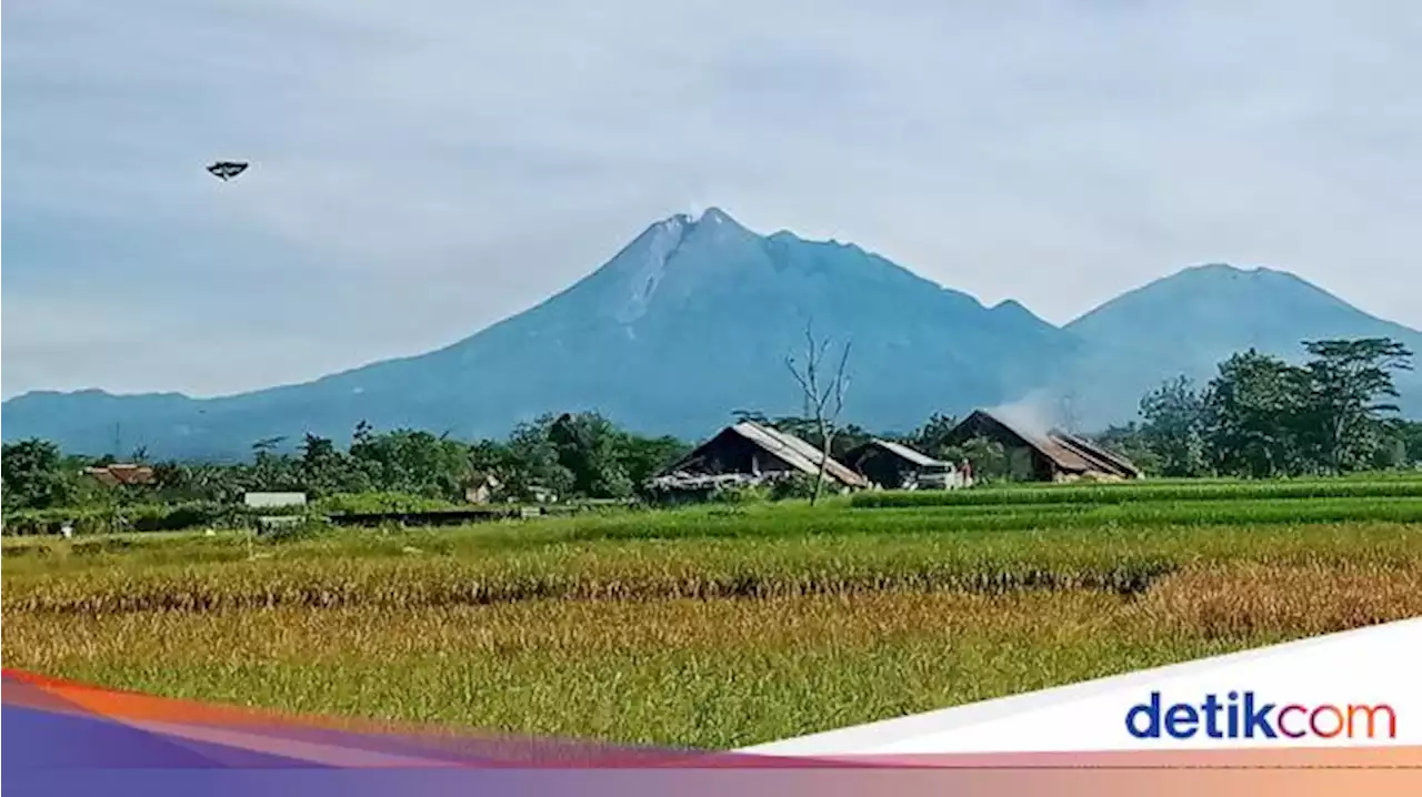 Duh! Calon Siswa SMP dari Desa di Pucuk Merapi Terlempar dari Zonasi