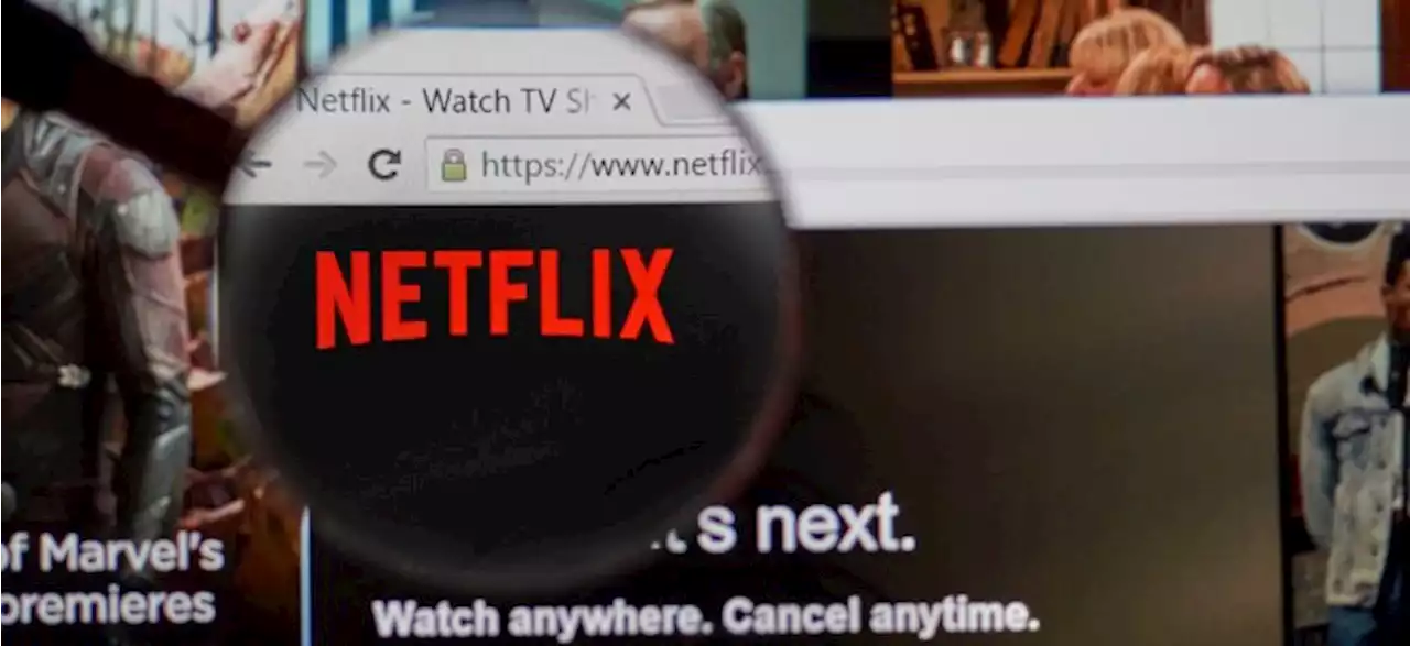 Nach Erfolgsdoku: Netflix will sich die Formel-1-Übertragungsrechte sichern