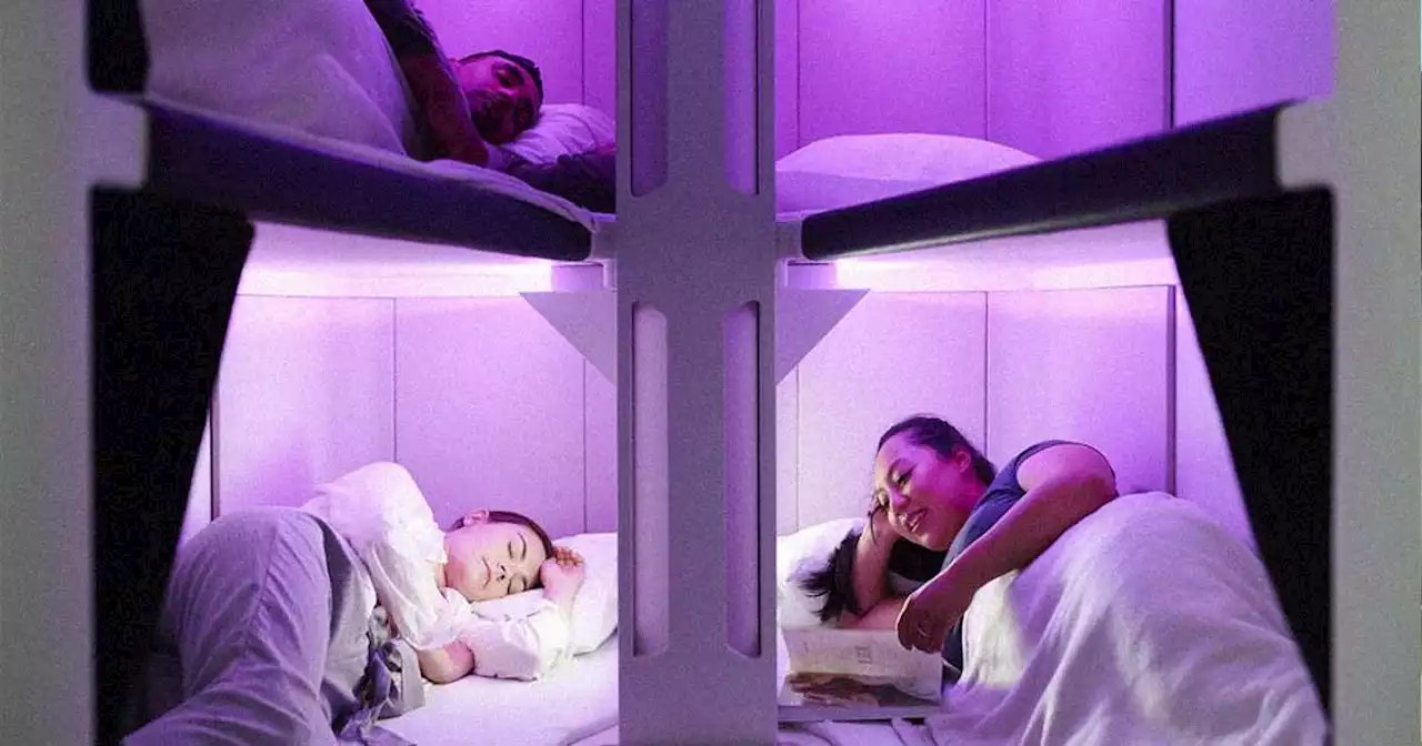 Airline Announces Plans to Add Spacious Bunk Beds to Economy Class