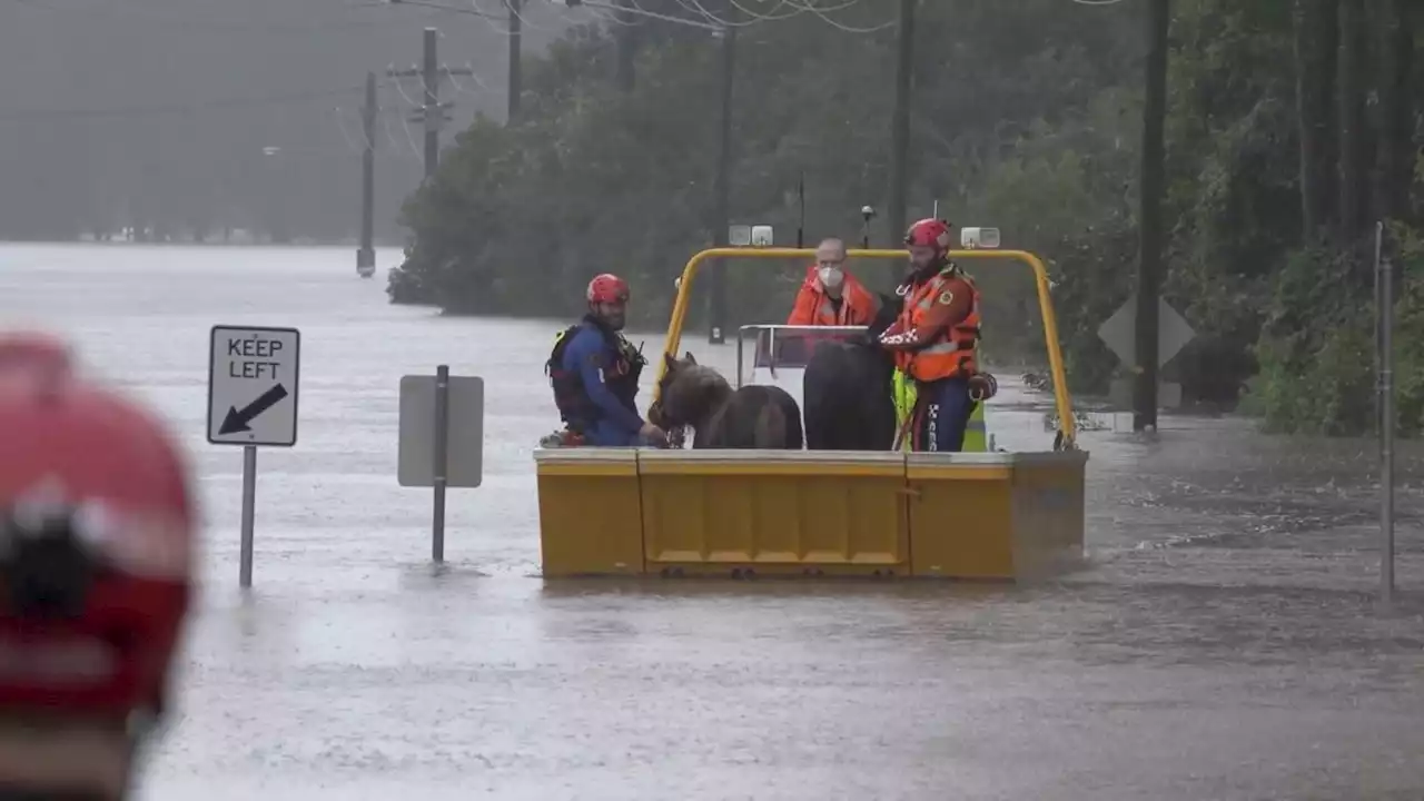 Floods hit southeast Australia, forcing evacuations