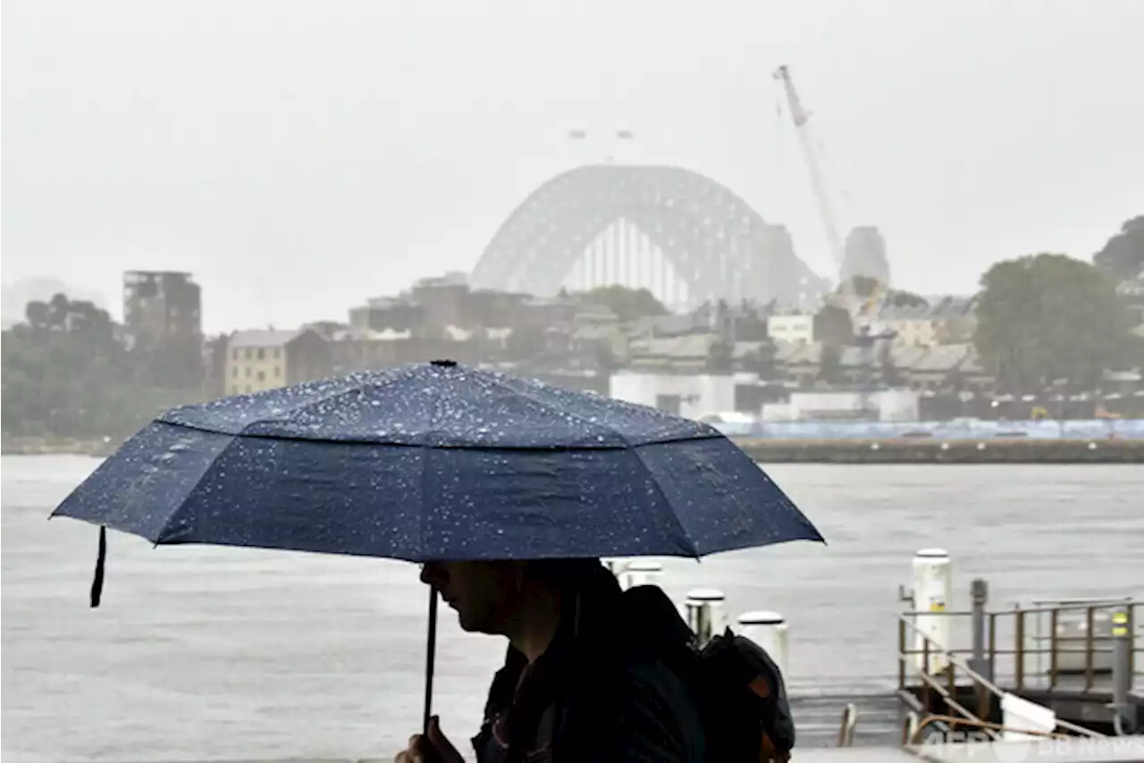 豪シドニーで豪雨 数千人に避難指示 - トピックス｜Infoseekニュース