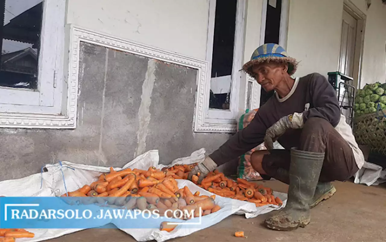 Petani Gagal Panen, Harga Sayur Meroket