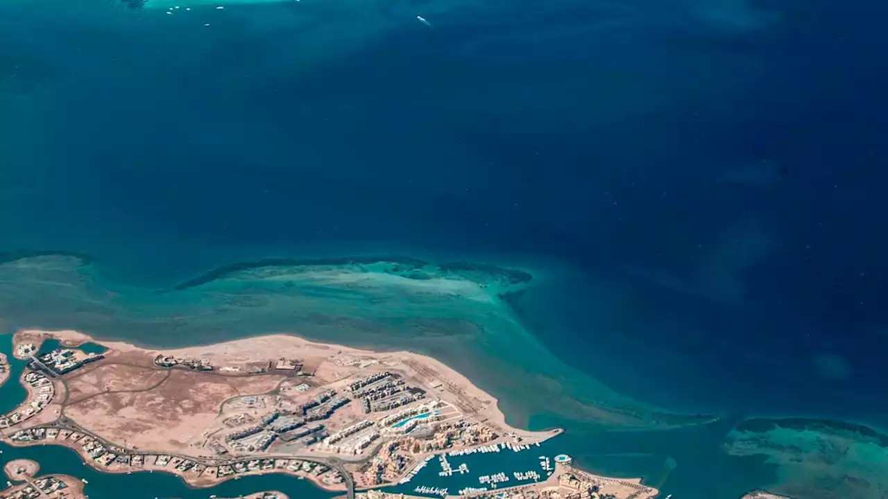 Stretch of Red Sea coast closed after woman savaged to death by shark