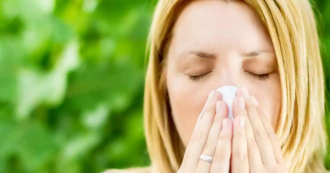 The huge impact hay fever can have on your child's exam results