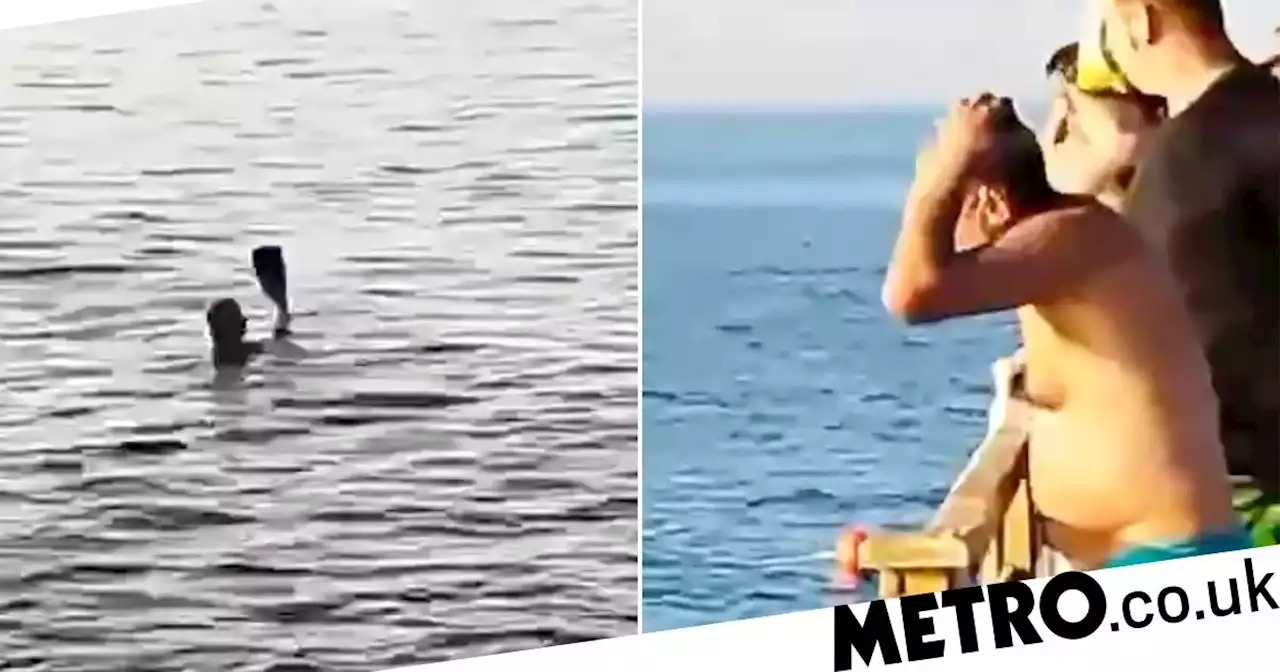 Shark bites leg and arm off tourist who dies in ambulance on way to hospital