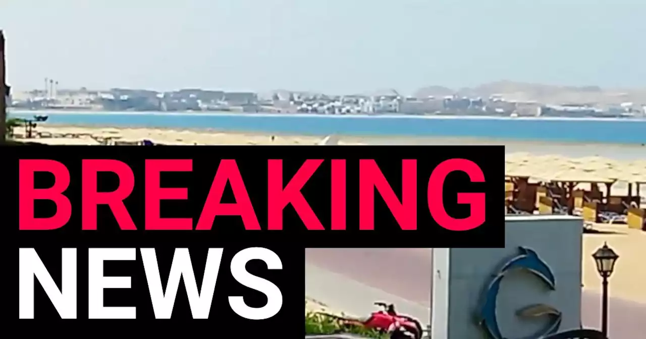 Shark killed second tourist 650ft from first fatal attack on pensioner