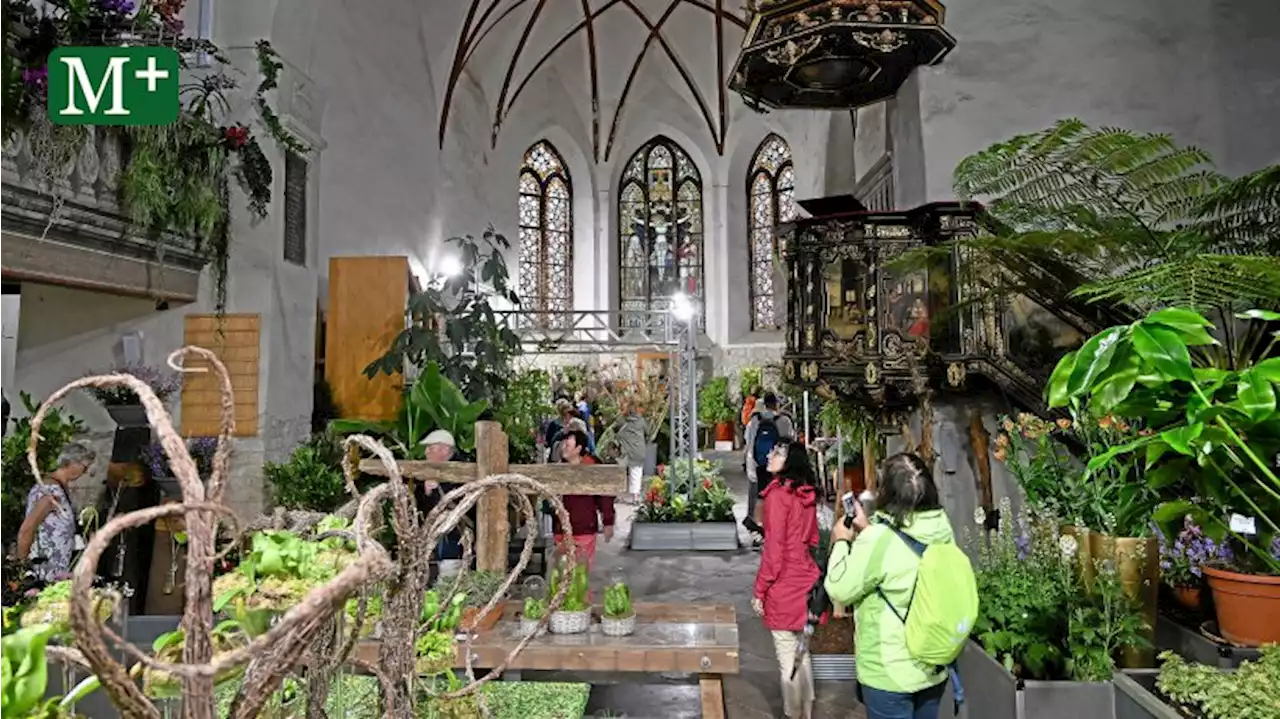 Beelitz – Besuch im Blumenmeer