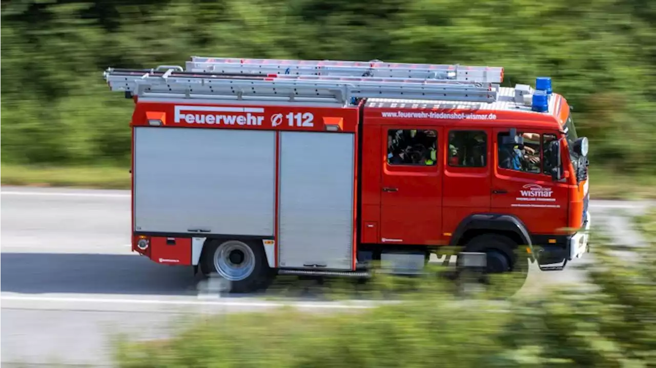 Neues Feuer bei Gohrischheide: Schnell gelöscht