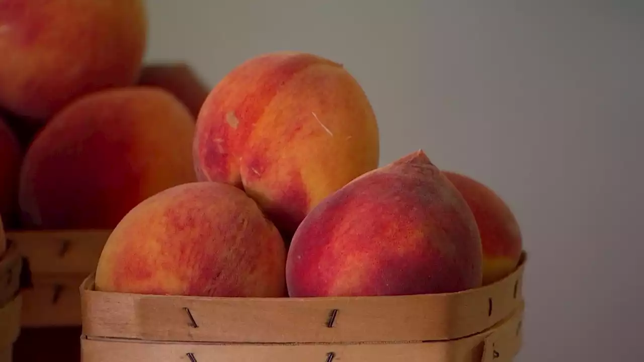 Parker County Peach Festival is Saturday, July 9