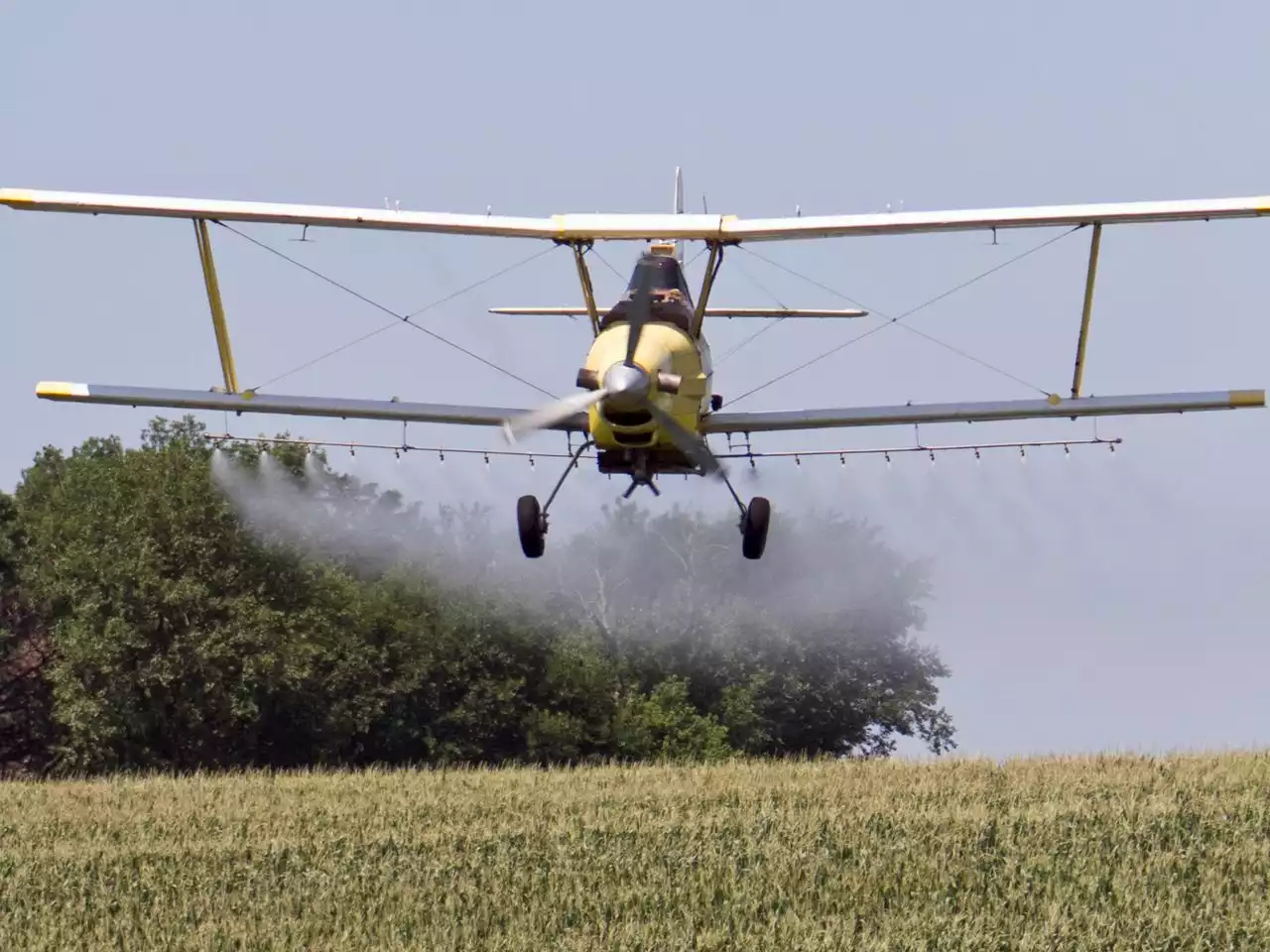 Crop duster airplane crashes in N.J., authorities say