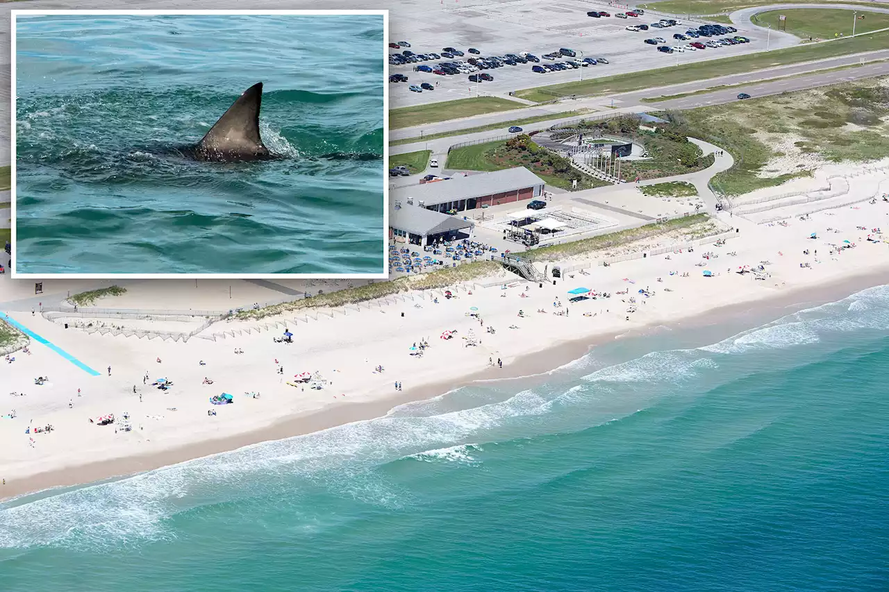 Long Island beach temporarily closes after ‘shark-related incident’