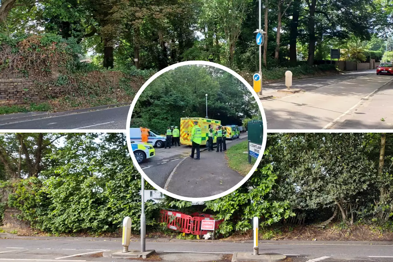 'Dangerous' trees which blocked visibility cut back at fatal crash crossing