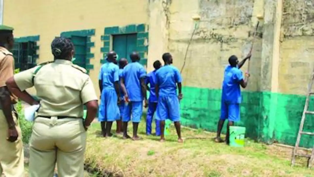 Seven Prisoners Graduate From Nigerian University With Second-Class Upper And Lower Degrees | Sahara Reporters
