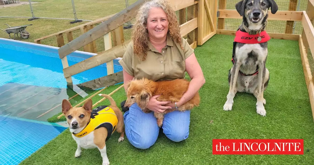 Paw-some new dog fitness swimming pool opening in Lincolnshire