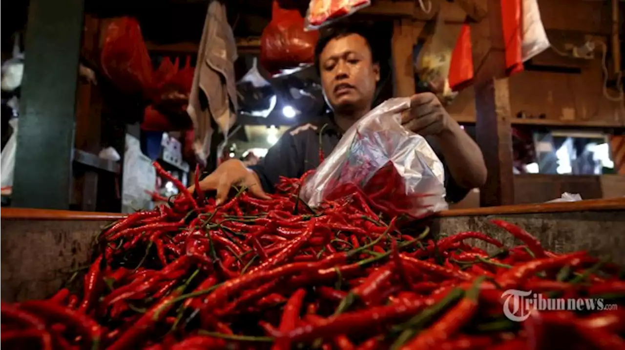 Harga Bawang Merah Naik Jadi Rp 60.700, Cabai Merah Besar Rp 70.600 Per Kg - Tribunnews.com