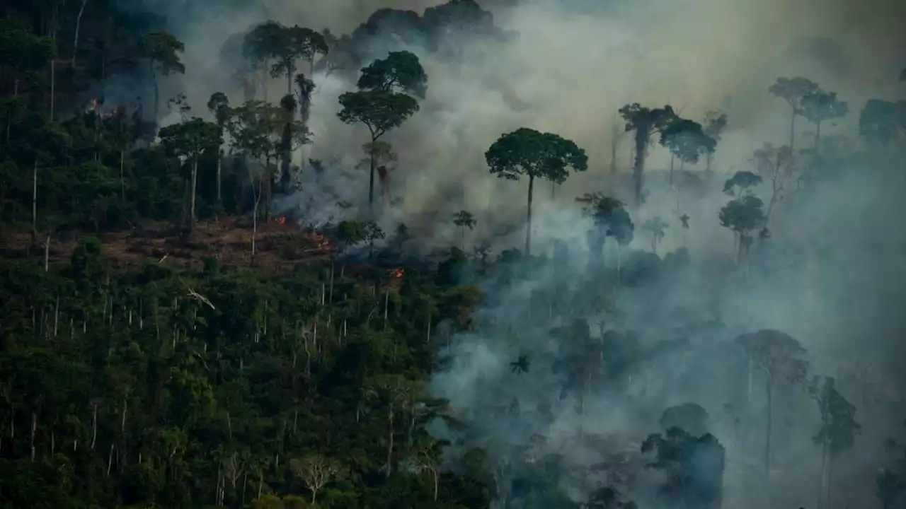 Activists Fear 'Tipping Point of No Return' as Fires in Amazon Rainforest Surge