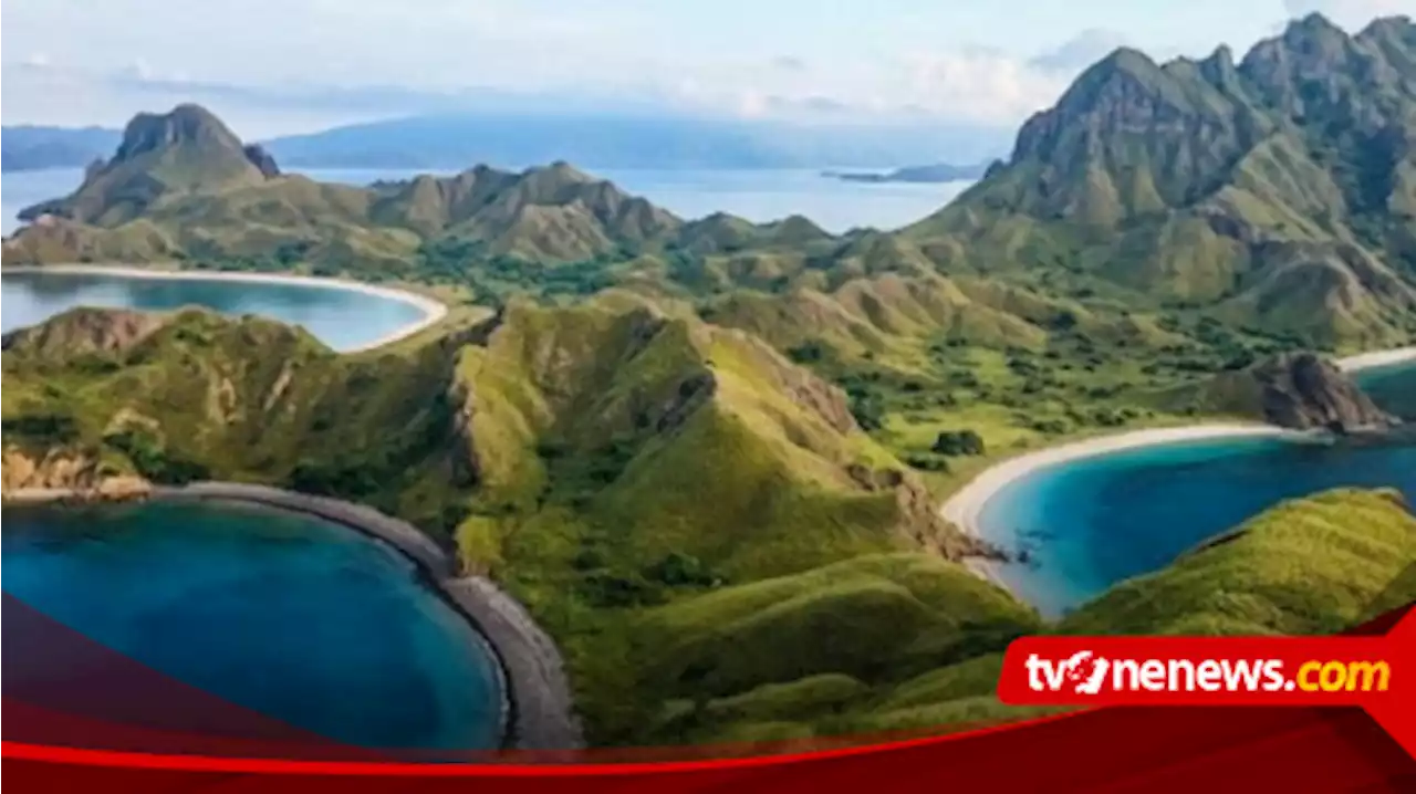 Tarif Masuk Pulau Komodo Naik, Begini Tanggapan Pakar Pariwisata