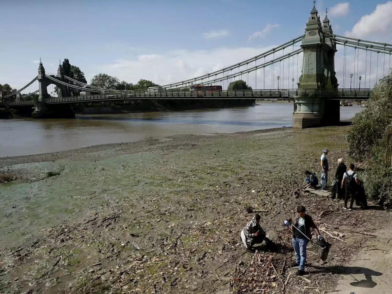 A huge mass of used wet wipes has formed an 'island' that has changed the course of England's second longest river, MP says