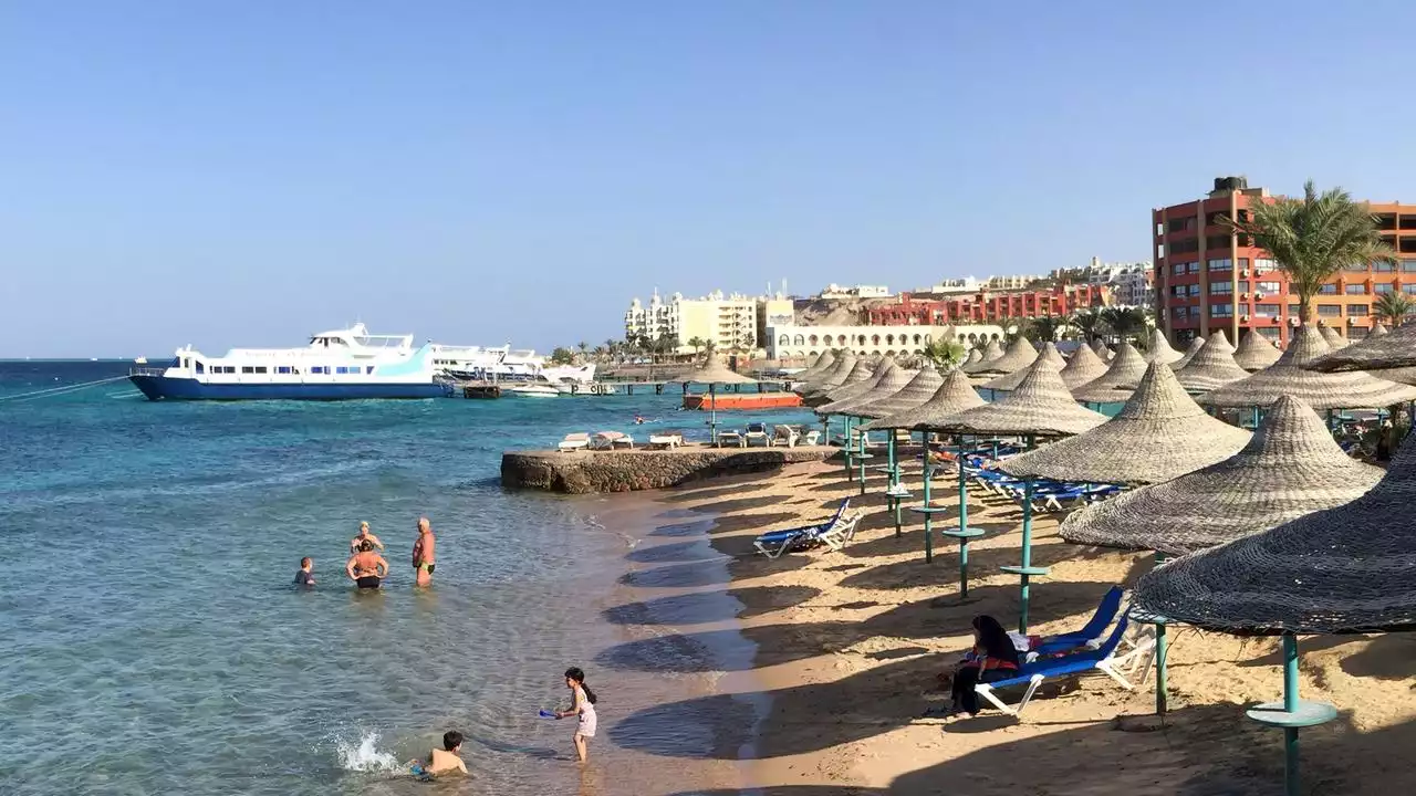 Touristenort in Ägypten: Hai tötet zwei Frauen im Roten Meer