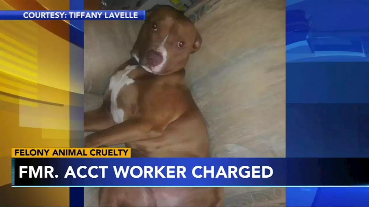 Former ACCT Philly employee charged with animal cruelty in connection with dog's death