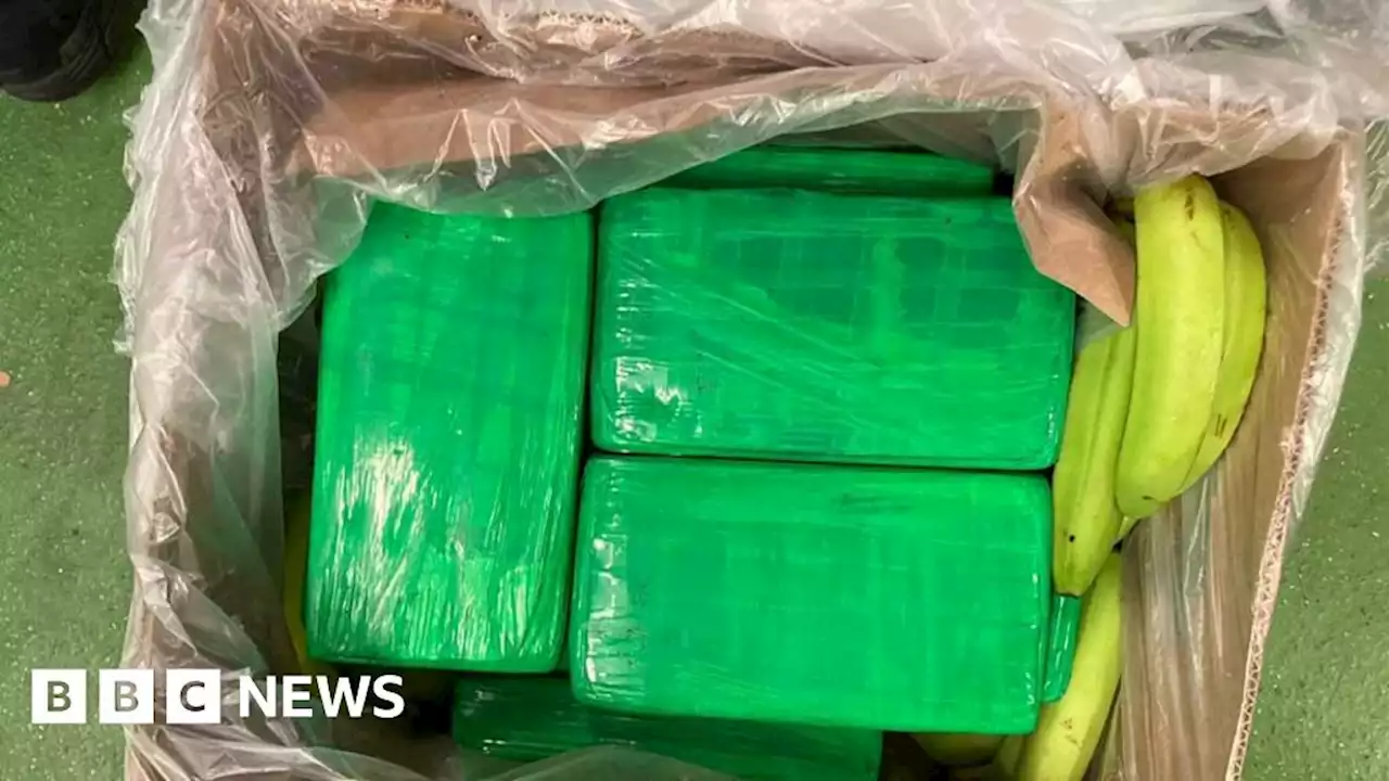 London Gateway: £40m cocaine stash found in banana boxes