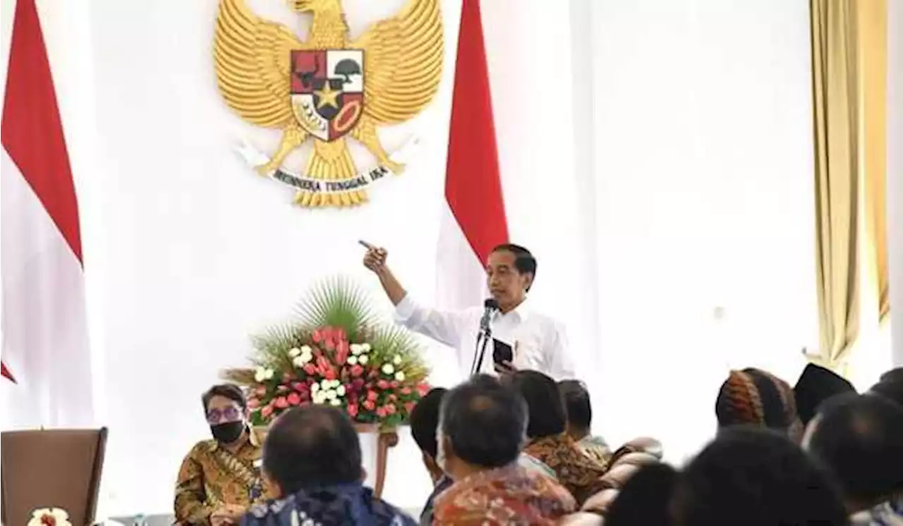 Ada Relawan Sampaikan Aspirasi Presiden 3 Periode Saat Bertemu Jokowi