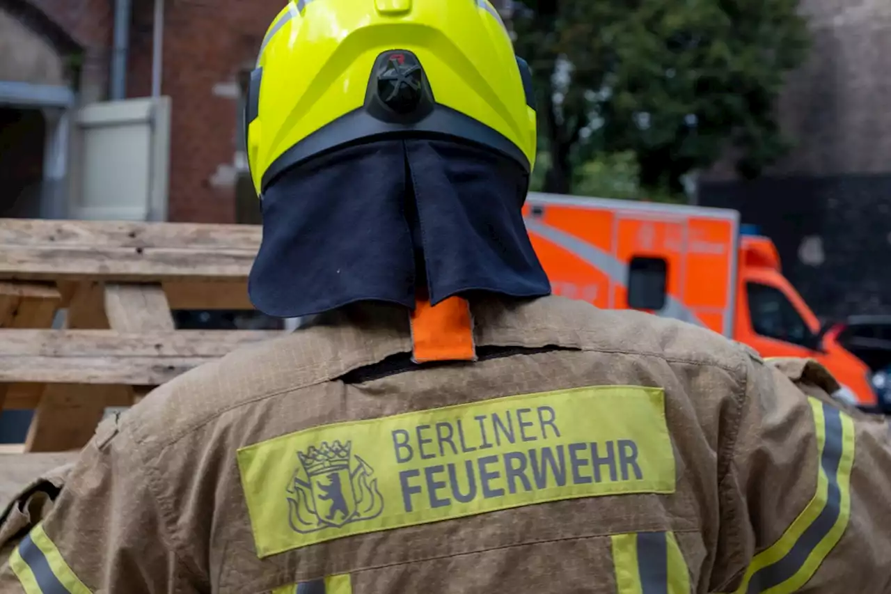 Waldbrand in Wannsee: 500 Quadratmeter in Flammen