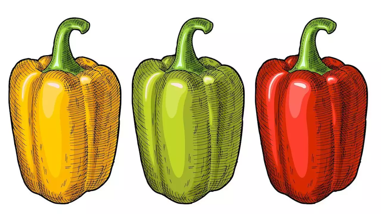 Healthy Eating: Why are red bell peppers more expensive than the green ones?