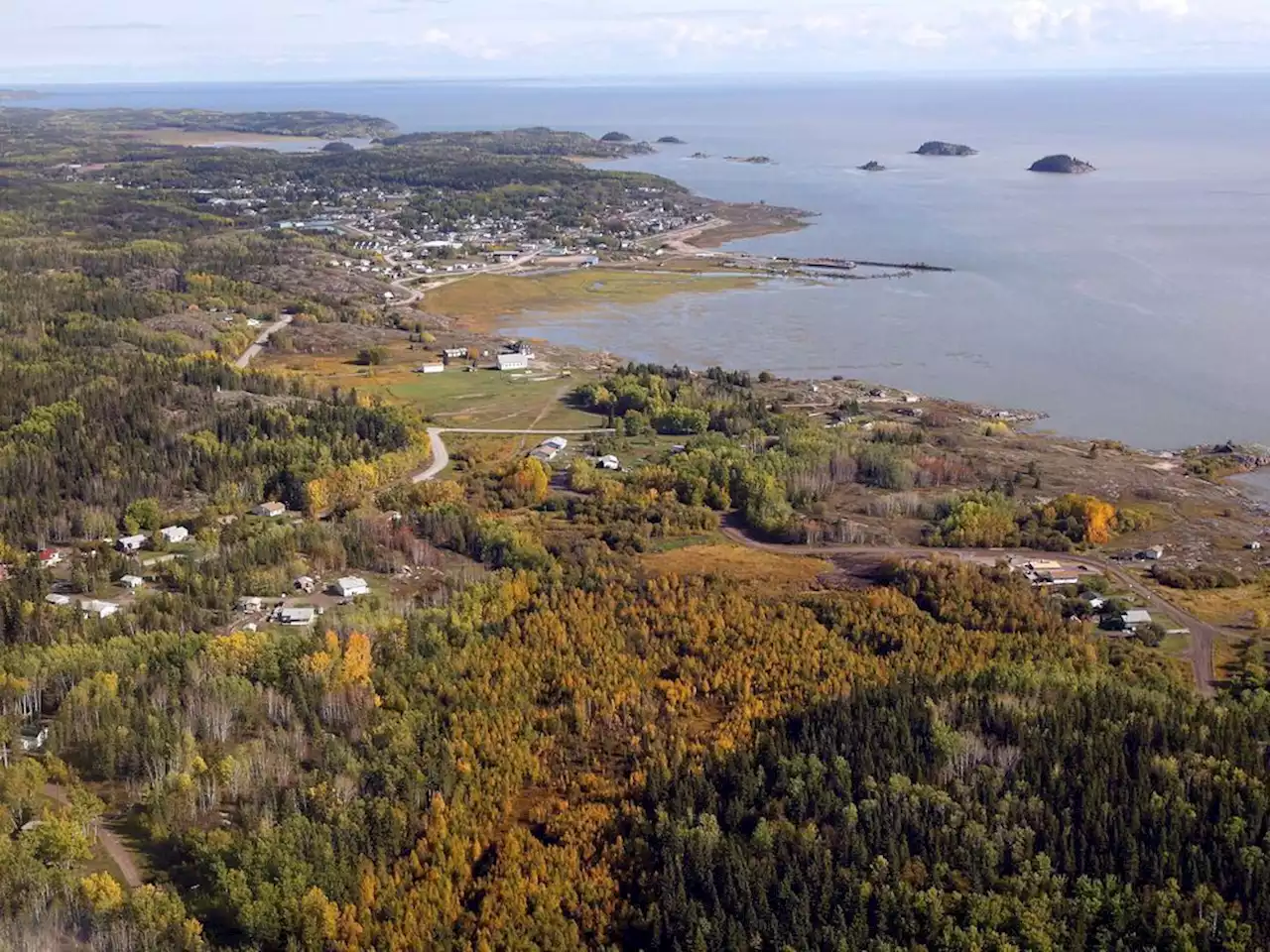 Parks Canada monitoring anthrax outbreak in Wood Buffalo National Park