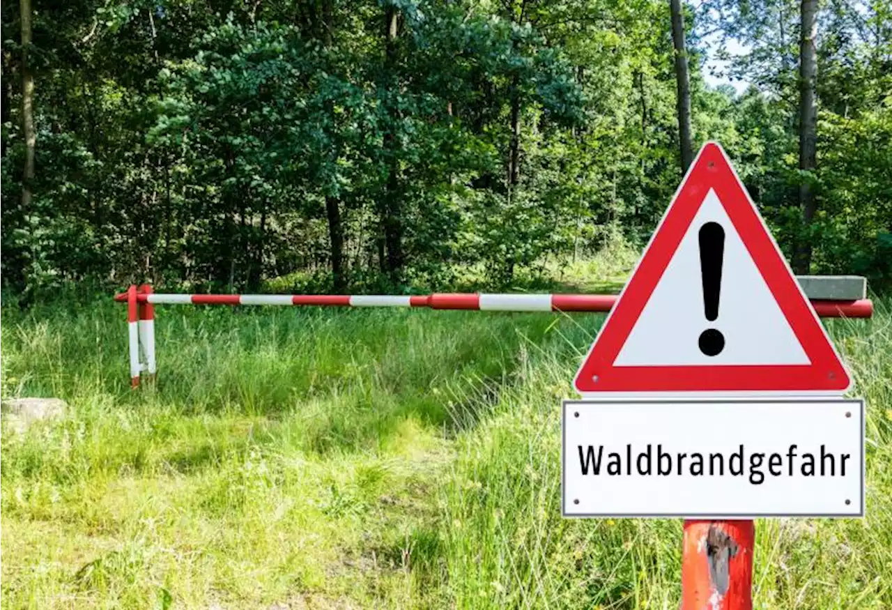 Hitze und Waldbrandgefahr in Potsdam