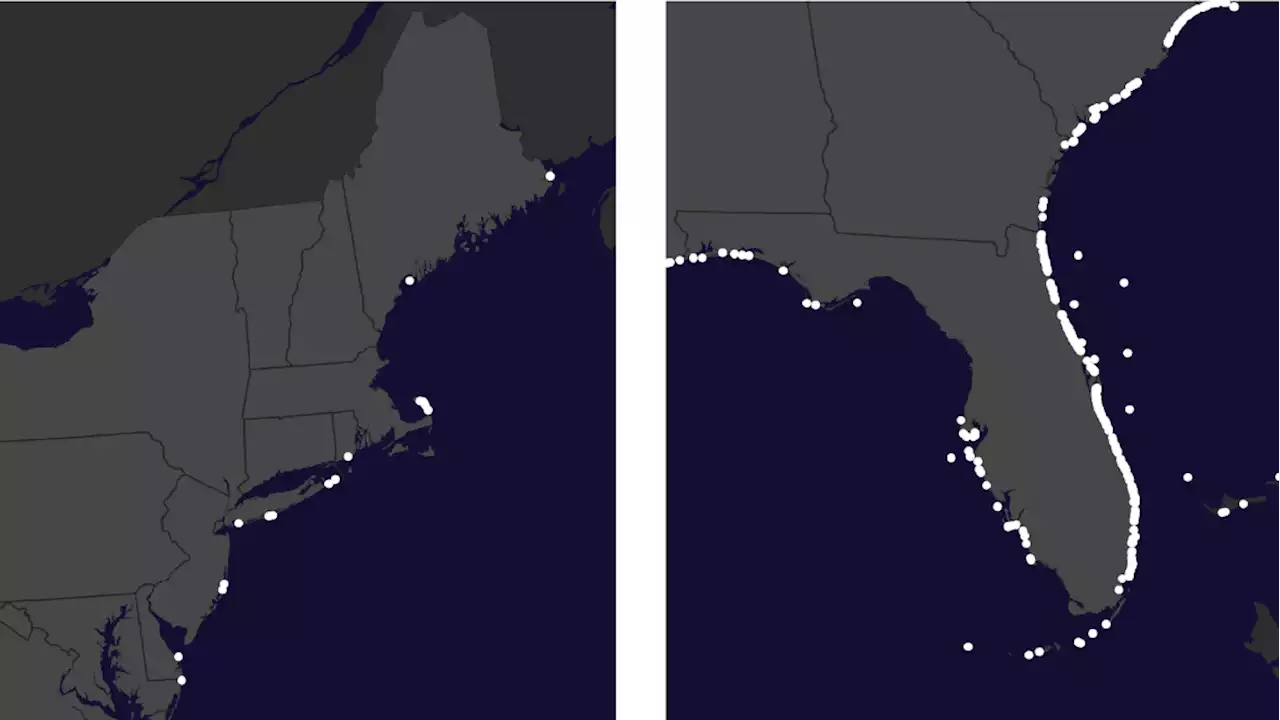 See where shark attacks are happening across the US