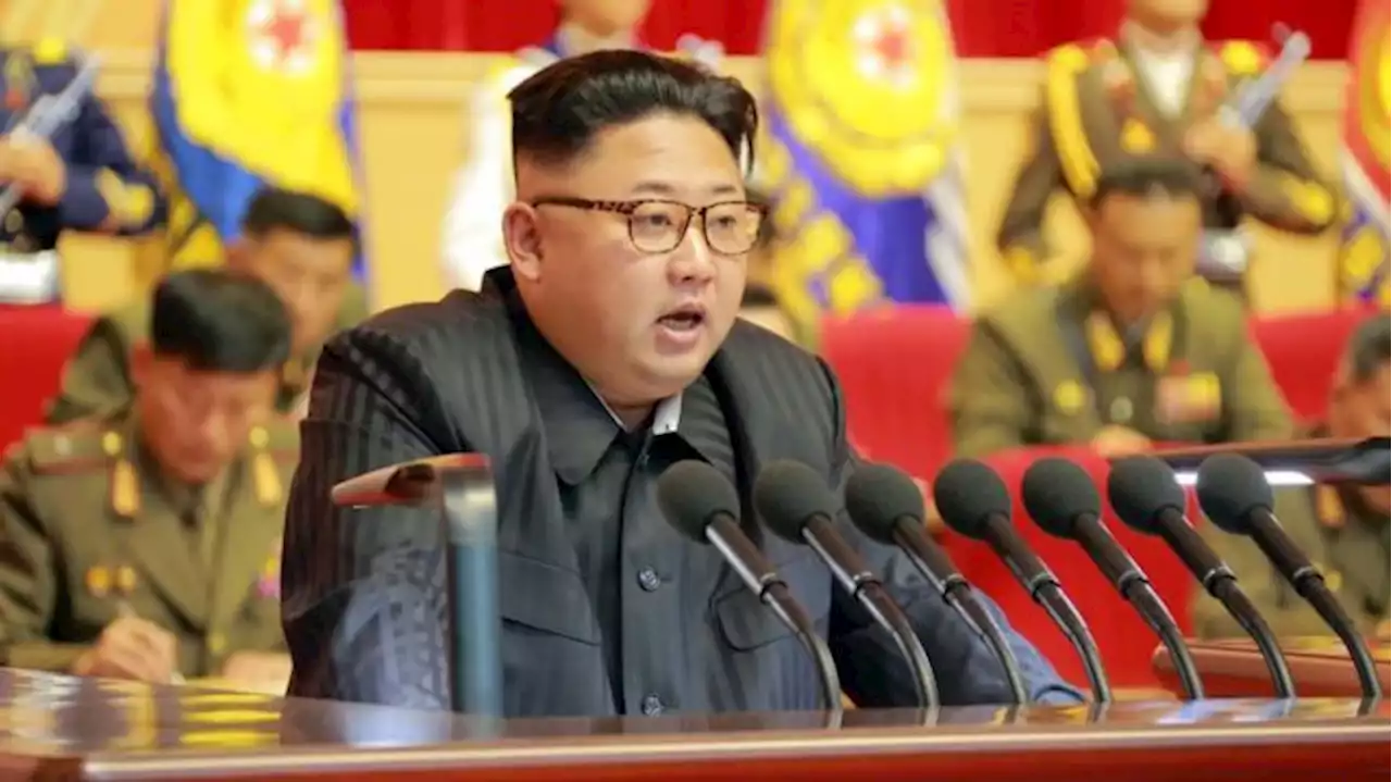 COVID-19: North Korea reports no new cases for first time
