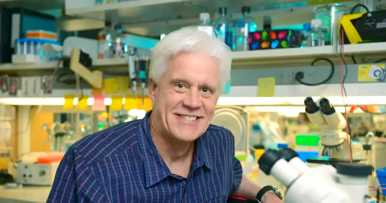 UTSW researcher part of team awarded $36 million heart research grant