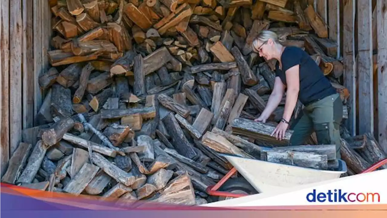 Krisis Gas Hantui Eropa, Warga Jerman Timbun Kayu Bakar, Ini Fotonya