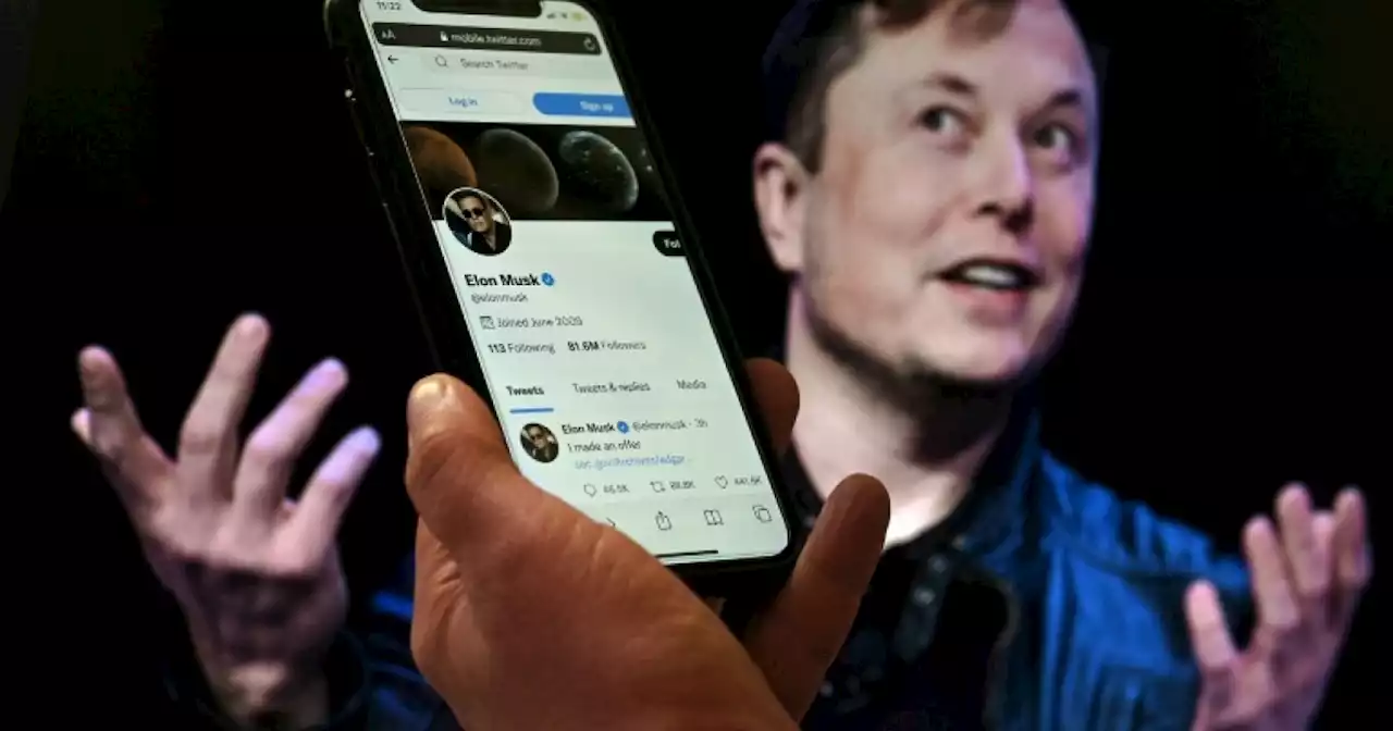 Elon Musk fires back at Twitter in court battle