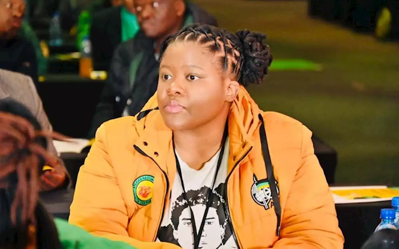 ANC youth league to highlight issues in higher education at policy conference