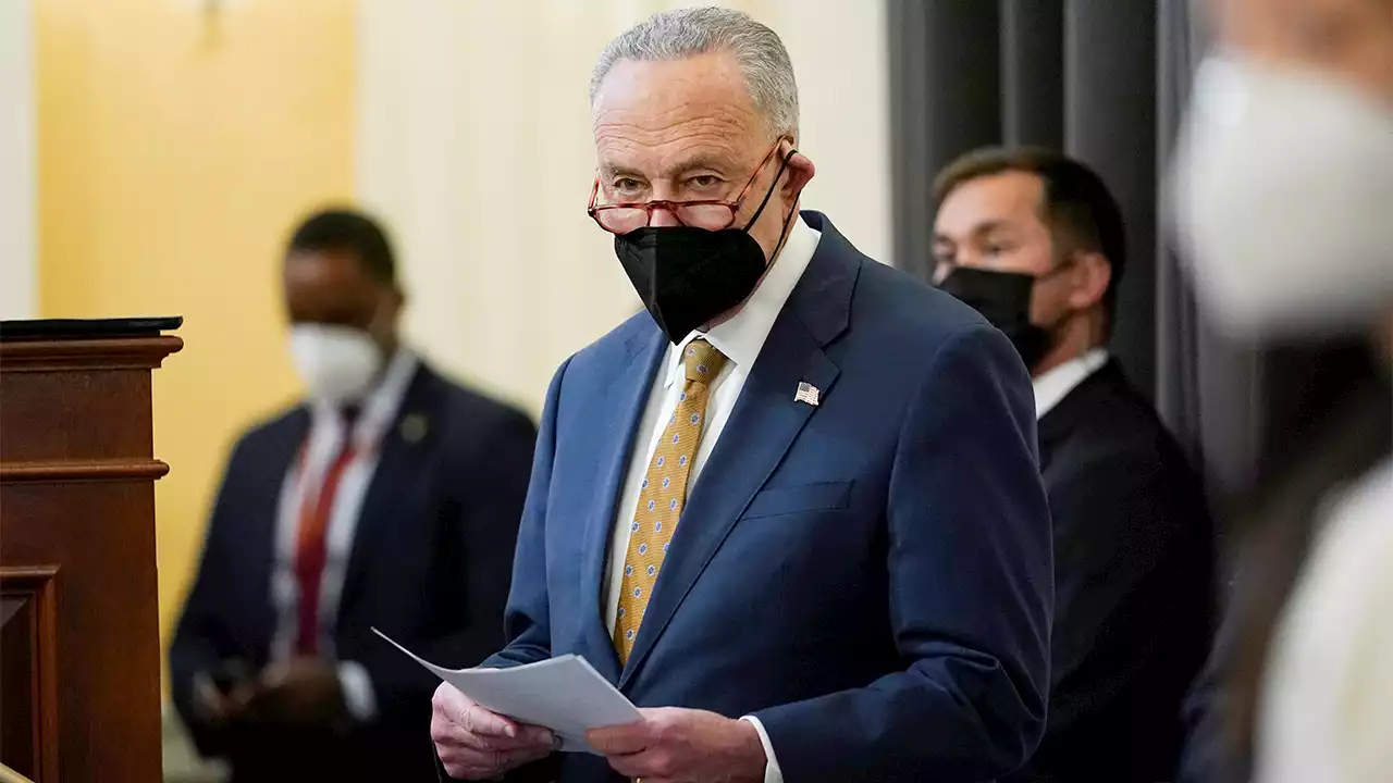 Schumer-aligned group injects more than $25M in anonymous donations into midterms for Senate Democrats