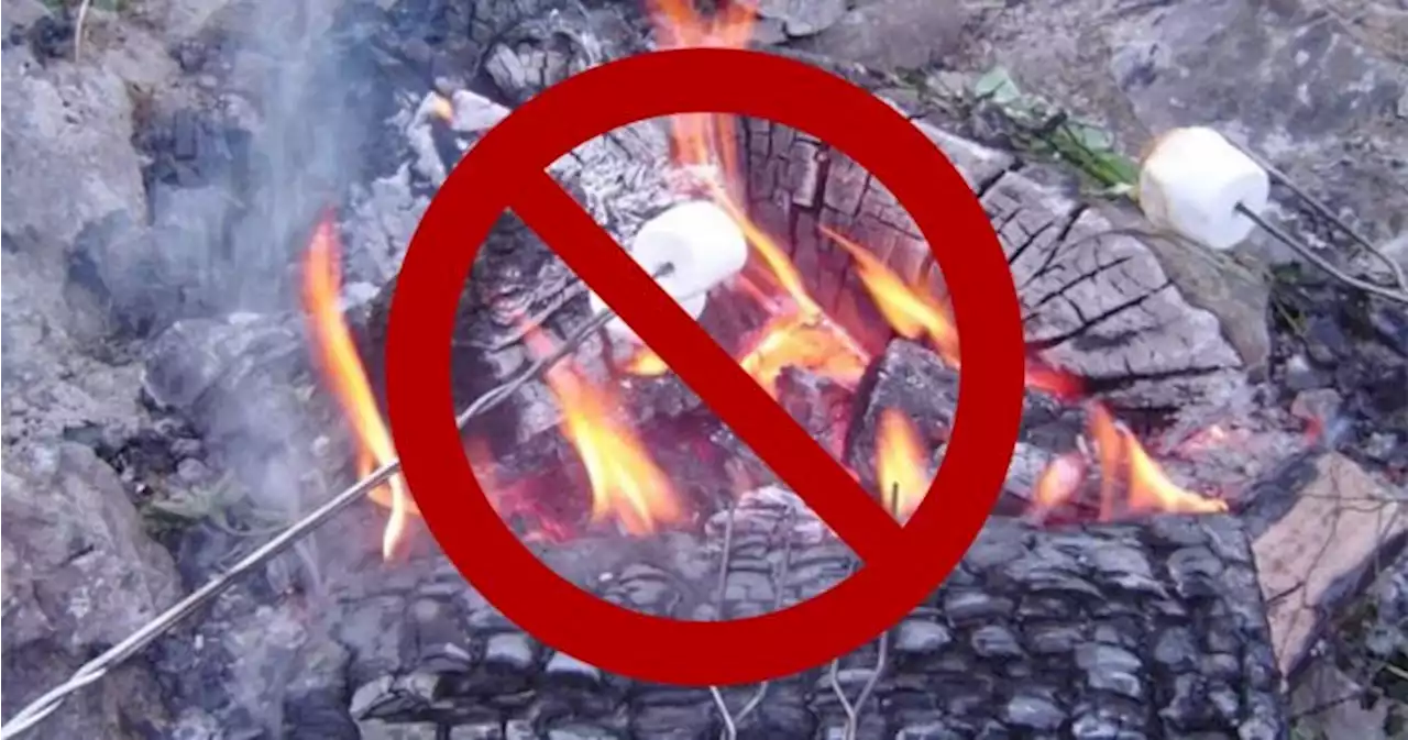 Penticton, Vernon, RDCO announce campfire bans, cite region’s extreme fire-danger rating - Okanagan | Globalnews.ca