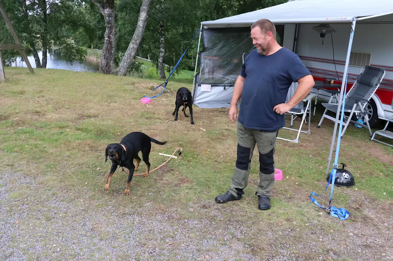 Högtryck på campingen – många utländska gäster